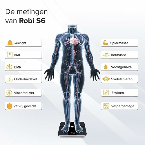 Diagram van lichaamssamenstelling met verschillende metingen zoals gewicht en spiermassa.